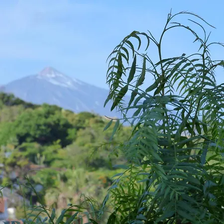 Ferienwohnung Mit Gartenterrasse Und Atlantikblick In El Sauzal, Auch Zur Langzeitmiete * Santa Cruz de Tenerife